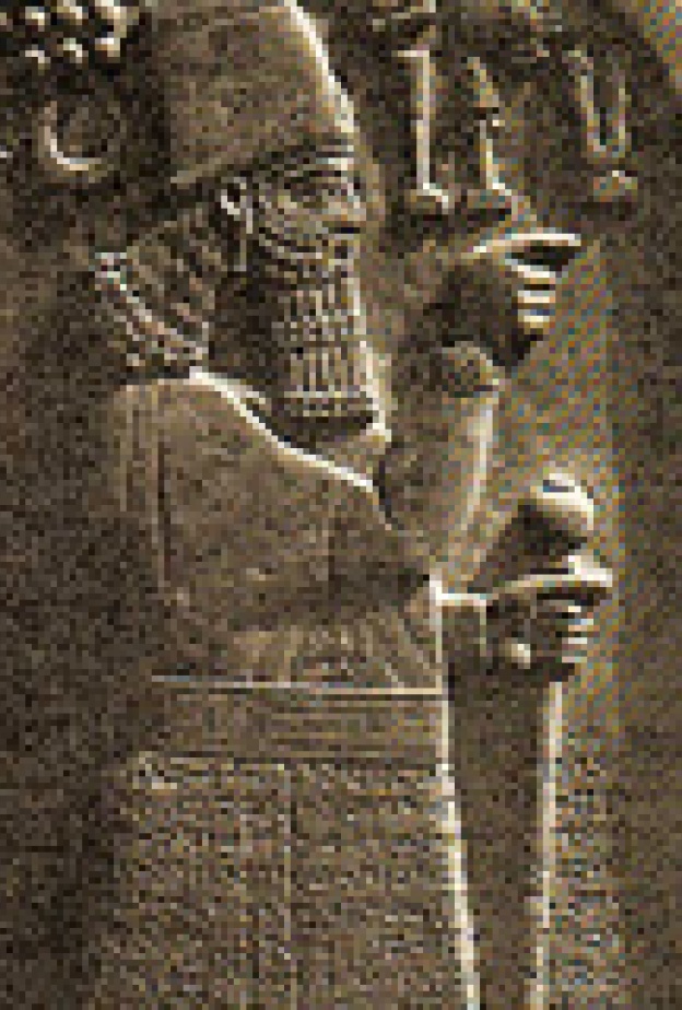  روائع الرافدين  فـي أبوظبي