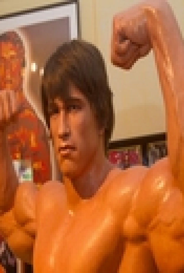 النمسا تفتتح متحفا خاصا لأرنولد شوارزنجر