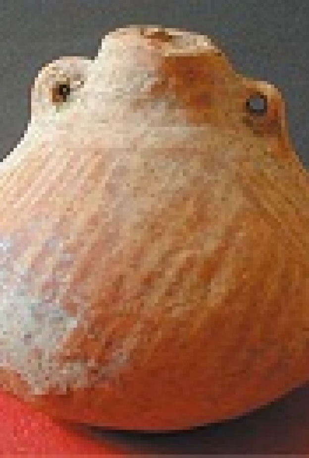 اكتشاف أدوات فخارية عمرها 4 آلاف سنة في الصين