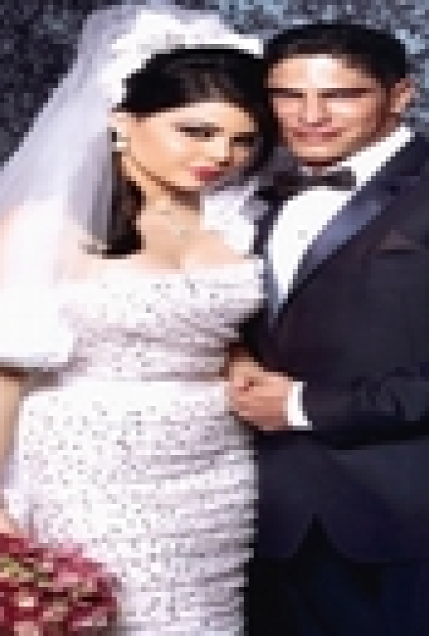 مهور الفنانات العربيات بالملايين : هيفاء وهبي على رأس القائمة.