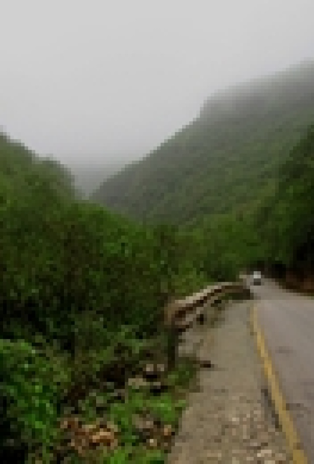 ارتفاع عدد زوار خريف صلالة بنسبة 25%