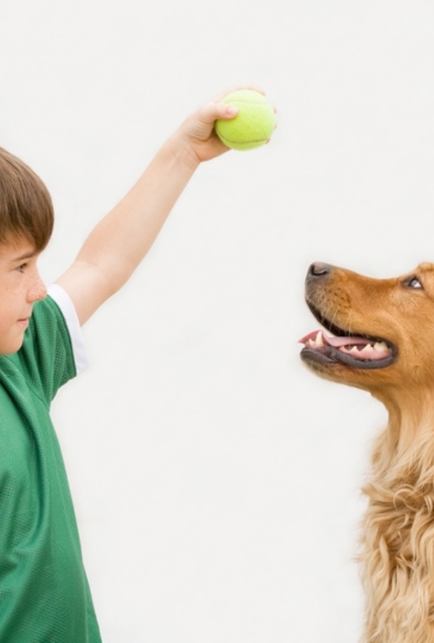 يستخدم البعض الكلاب للعلاج النفسي للأطفال