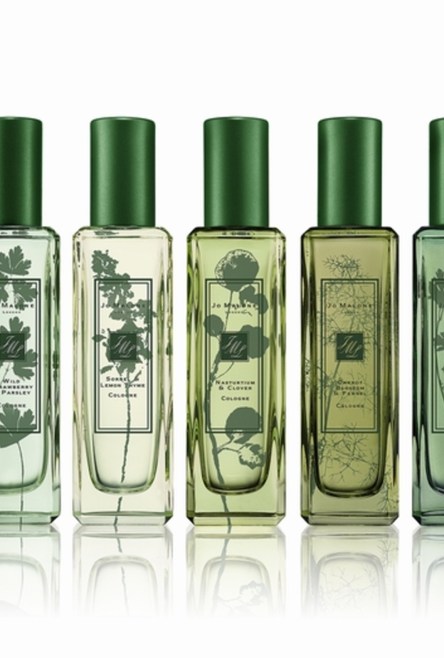 The Herb Garden Collection