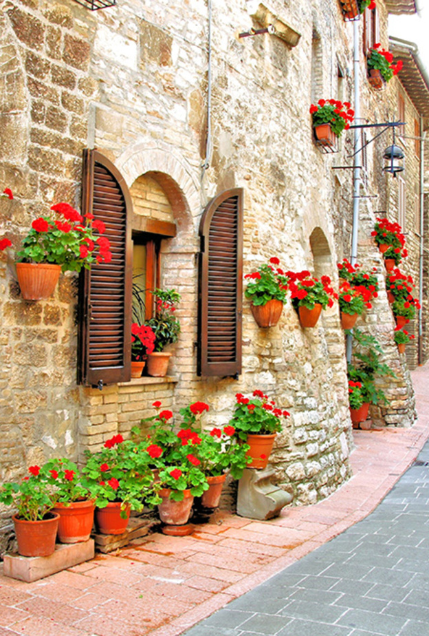 الربيع يلوّن العالم