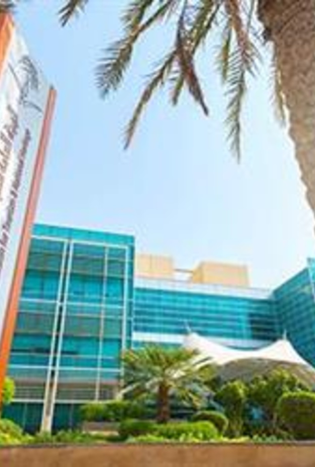 تعتبر السياحة رافدا رئيسيا من روافد الاقتصاد الوطني.