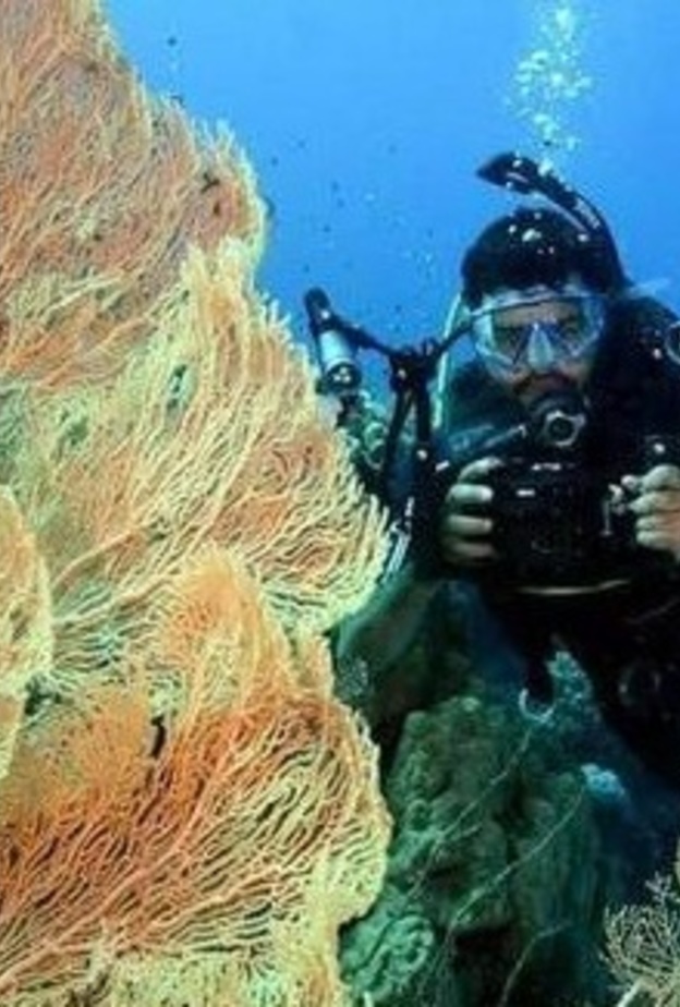 الغواص السعودي