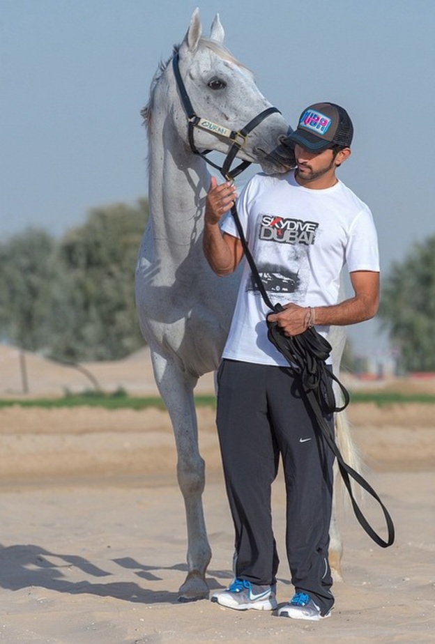 فزاع وعشقه للخيل