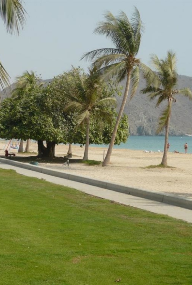 نظرة على مهرجان الشواطئ الأول في مدينة خورفكان