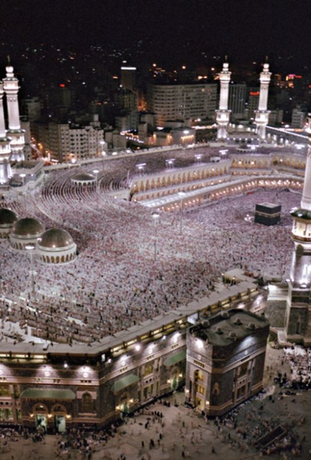 فيديو: قطة توقظ معتمرا في الحرم لاستعادة لعبتها