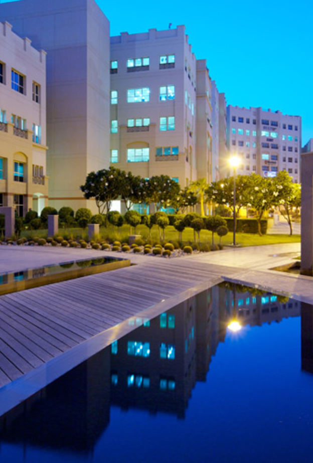 مدينة دبي الأكاديمية العالمية