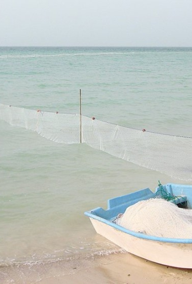 استبدال اسم "منطقة الضبعية" في ابوظبي إلى اسم "النوف"