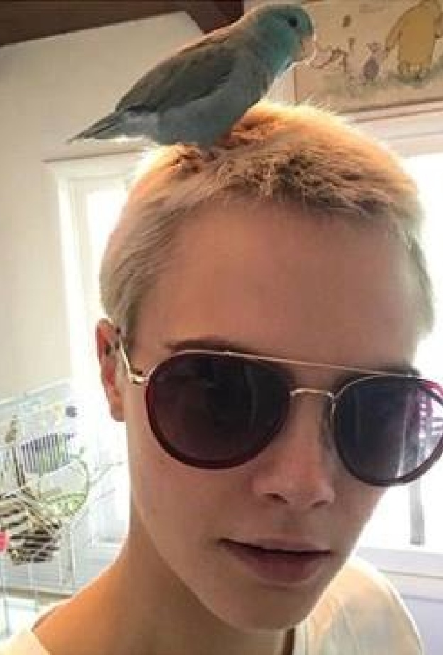 سيلفي للنجمة كارا ديليفينغ مع الببغاء الصغير الخاص بها