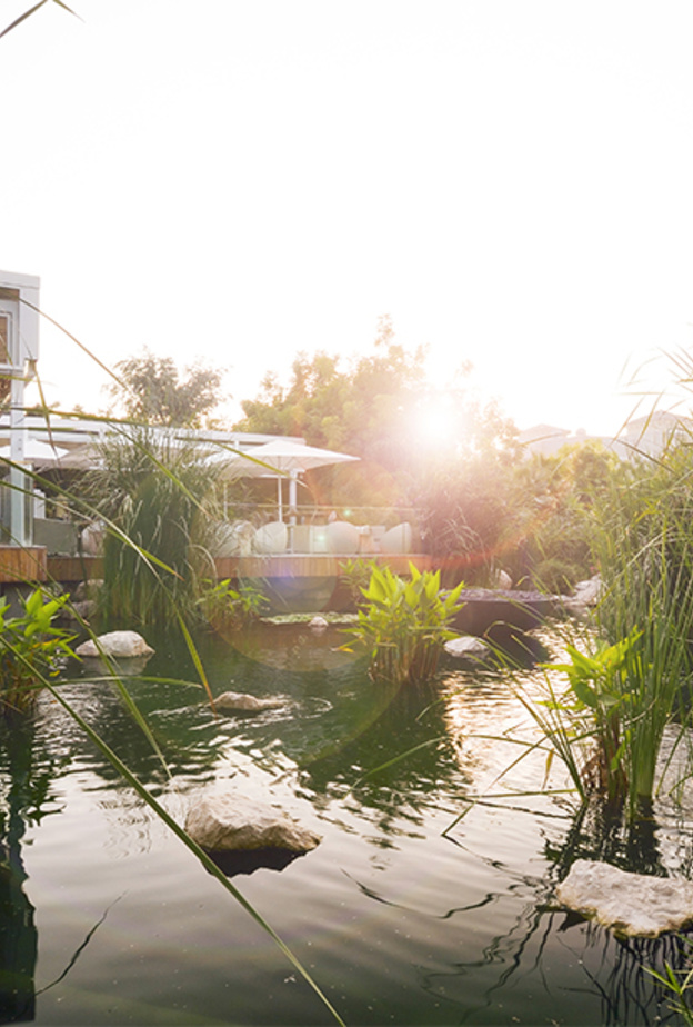 أفضل أماكن فطور الصباح مع إطلالات خلابة في دبي