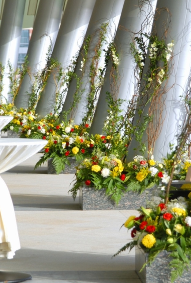 تجهيزات الزفاف الخارجي