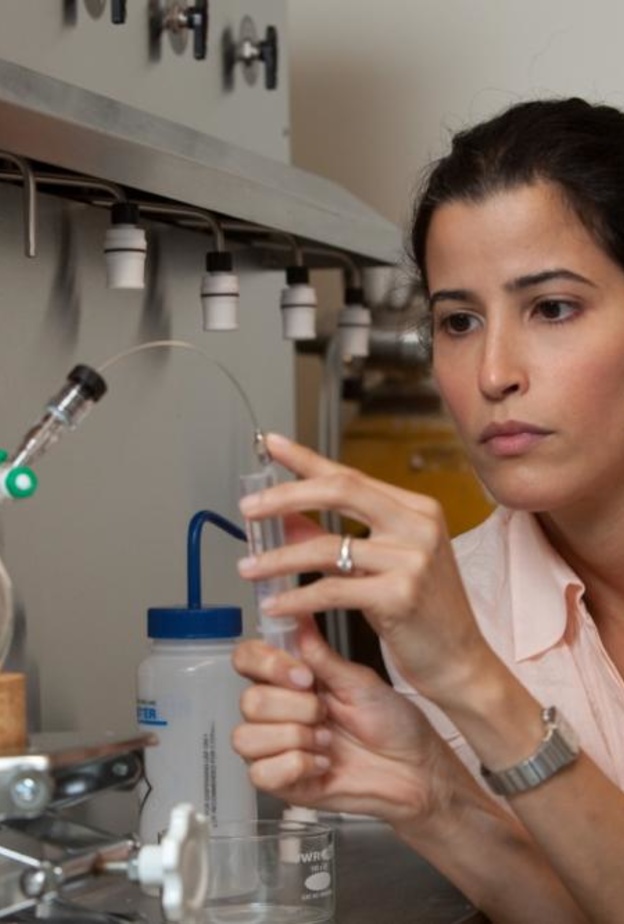 الدكتورة غادة المطيري 