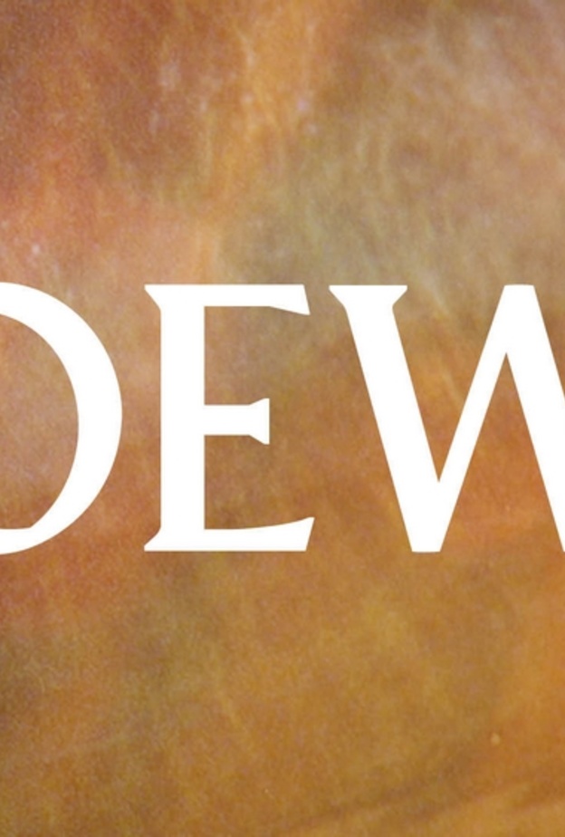 بث مباشر لعرض أزياء LOEWE لخريف شتاء 2023