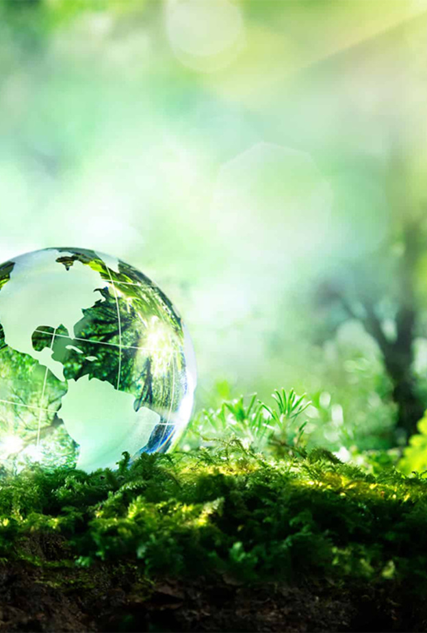 تزايد اهتمام سُكان الإمارات بالحفاظ على البيئة