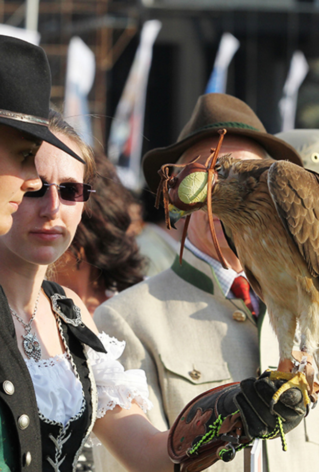 مهرجان الصداقة الدولي الرابع للبيزرة بأبوظبي