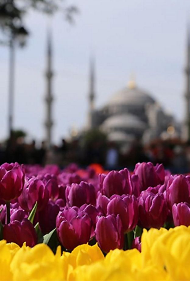 نظرة على مهرجان التوليب في اسطنبول 2016