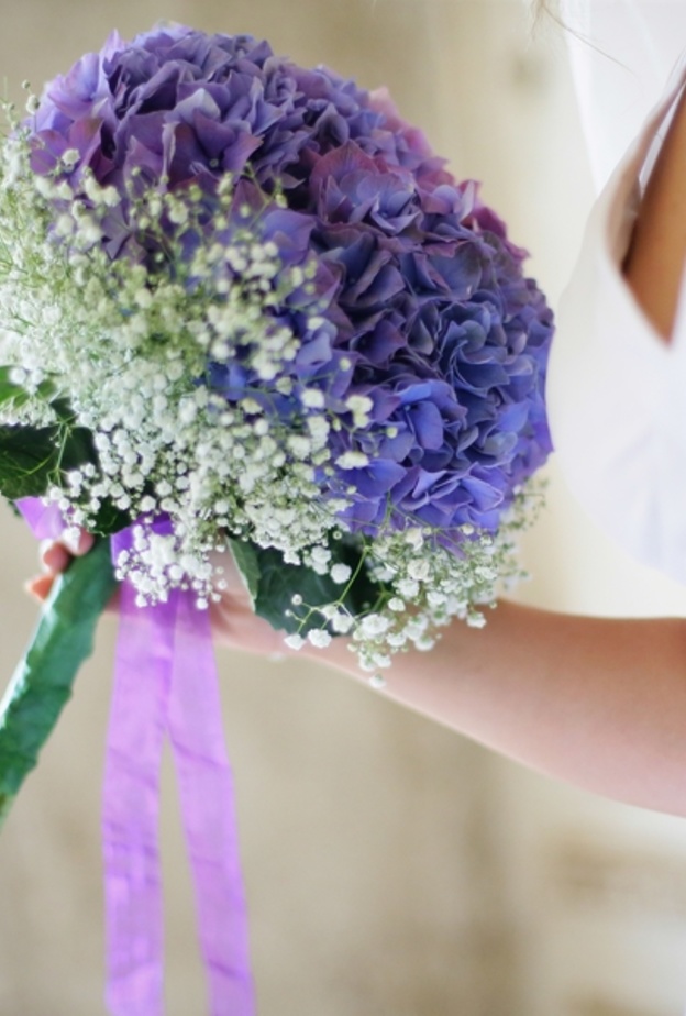 نعومة الباقة البنفسجية