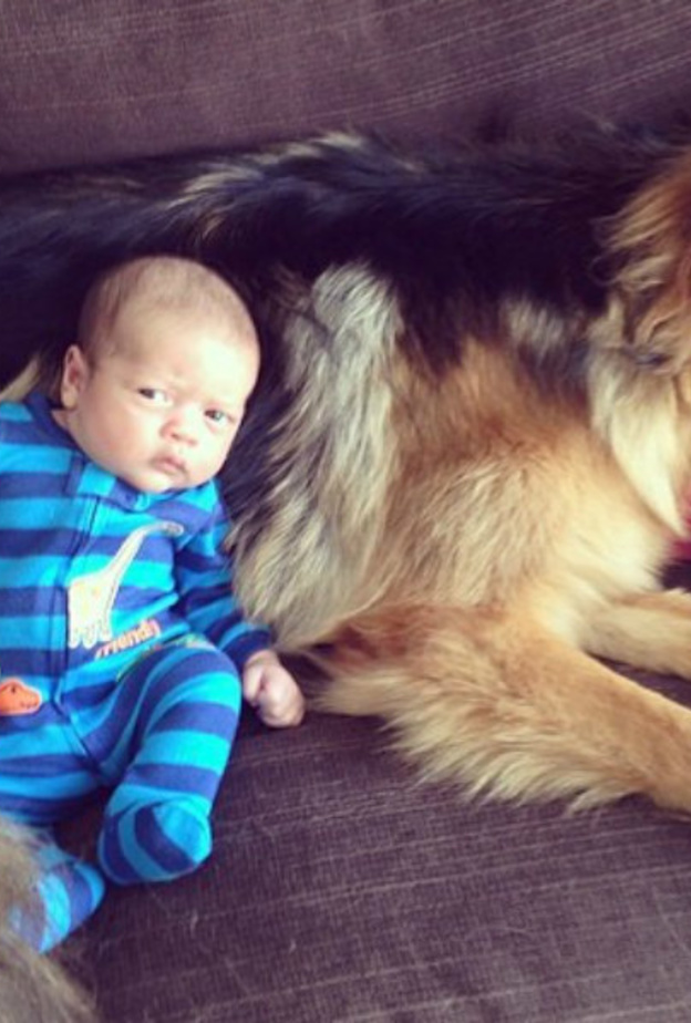 نصائح للام قبل اختيار حيوان اليف لطفلك