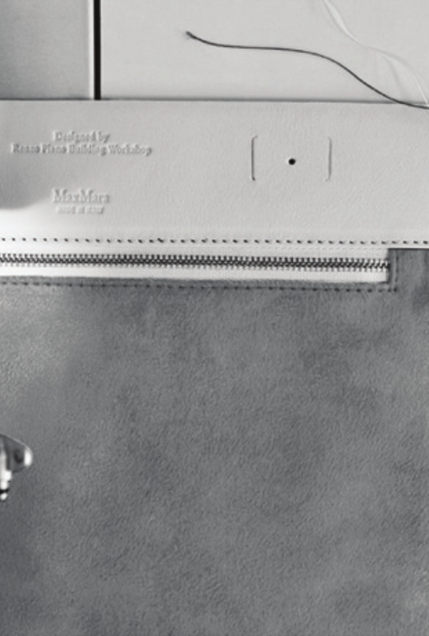 تصميم حقيبة ويتني