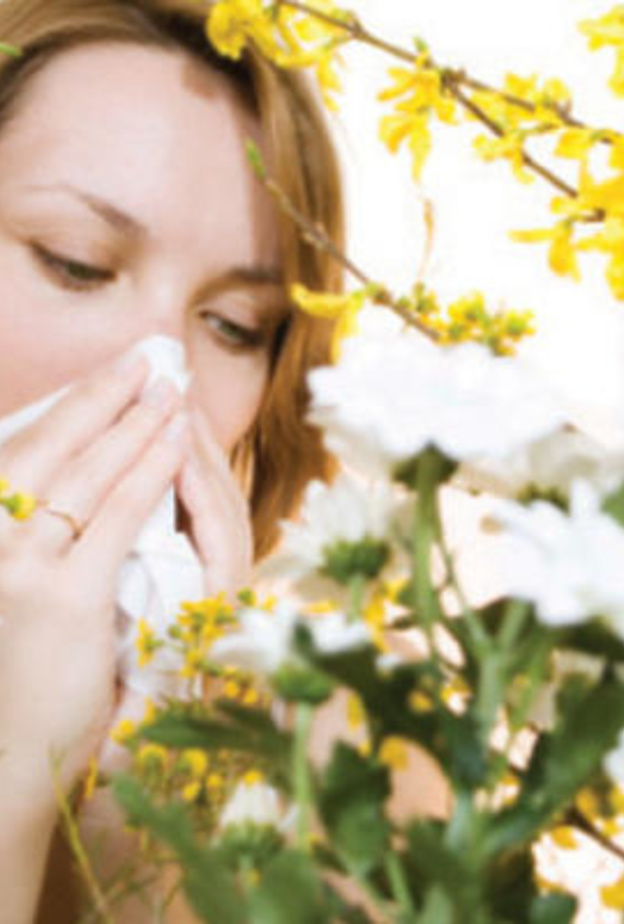 الحساسية الموسمية