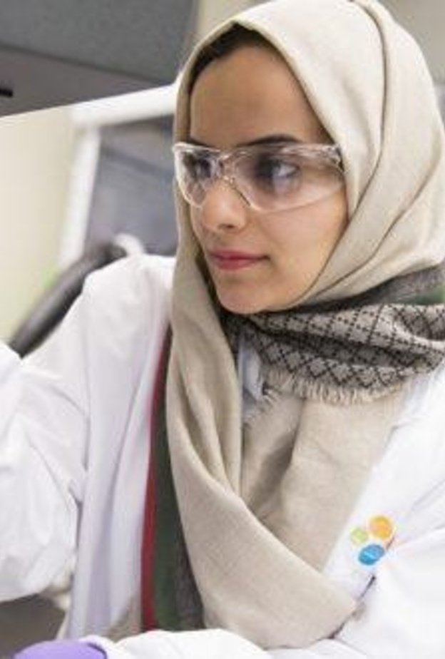  الدكتورة رنا الشغرود