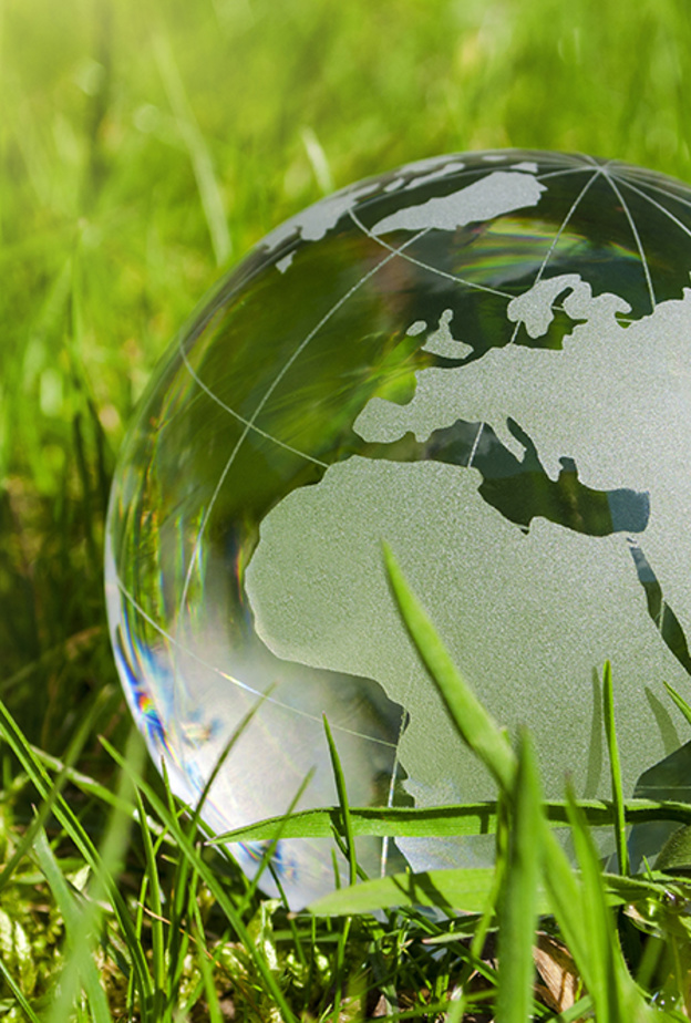 انطلاق القمة العالمية للاقتصاد الأخضر في دبي في أكتوبر المقبل