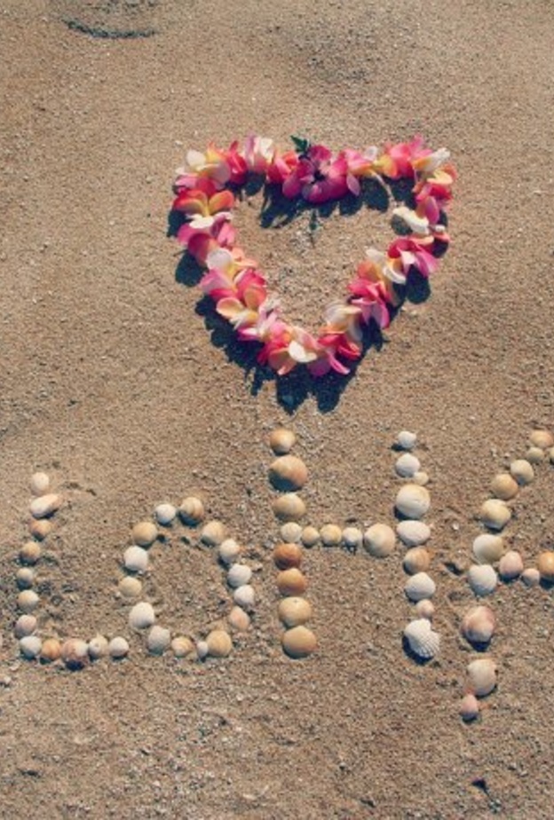 مهرجان ألوها أحد أكثر المهرجانات شعبية في العاصمة أبوظبي