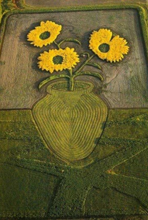 لوحة للورد في احدى المزارع 