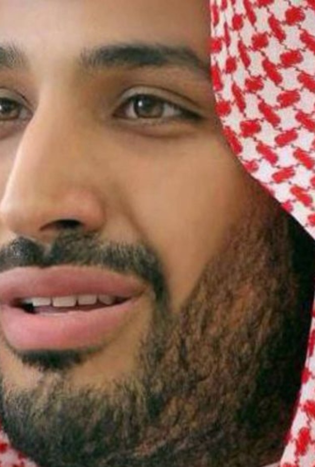 ولي ولي العهد محمد بن سلمان 