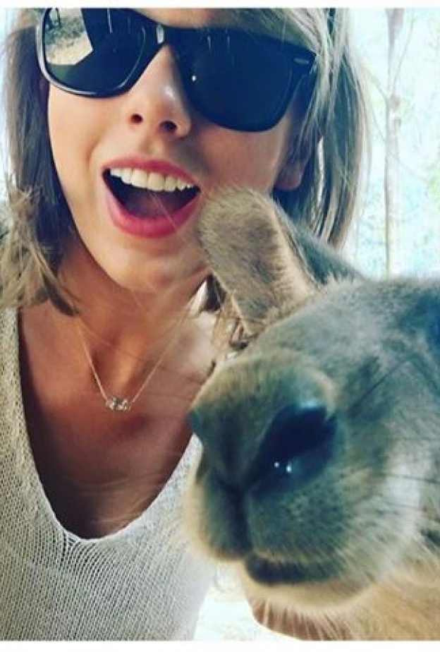 تايلور سويفت تأخذ صورة سيلفي مع الكنغر في استراليا هذا الصباح