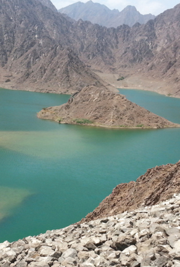 بلدية دبي تحتفل باليوم العالمي للأراضي الرطبة بمجموعة من الفعاليات