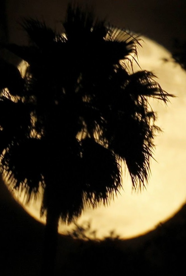 ظاهرة القمر العملاق