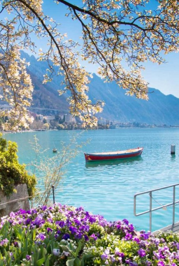 عطلة لا تقاوم في سويسرا