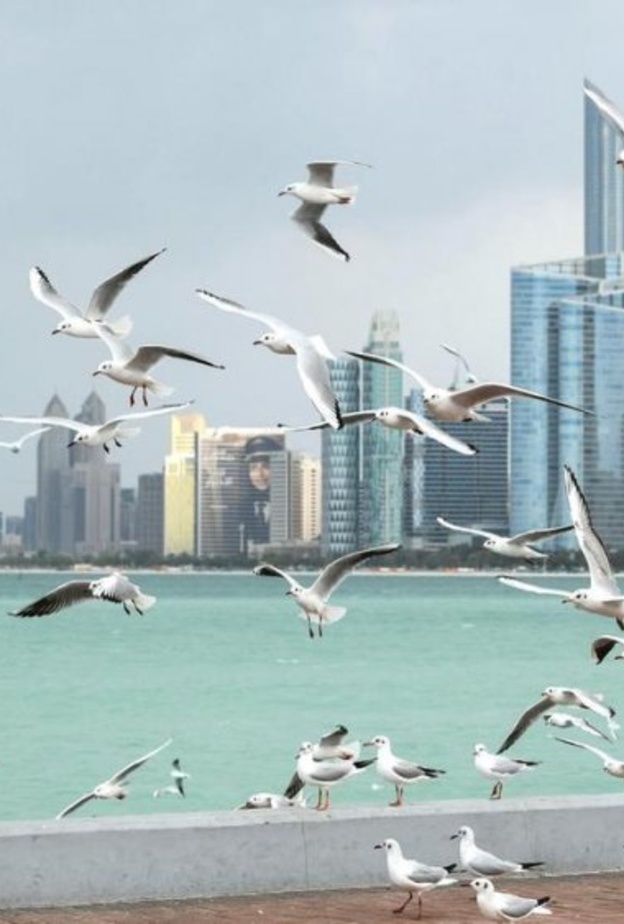 اطلاق منصة إلكترونية وطنية لرصد جودة الهواء في الإمارات