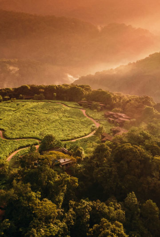 ون آند أونلي رواندا .. فندق جديد يفتح أبوابه وسط المحميات الطبيعية في  قلب إفريقيا