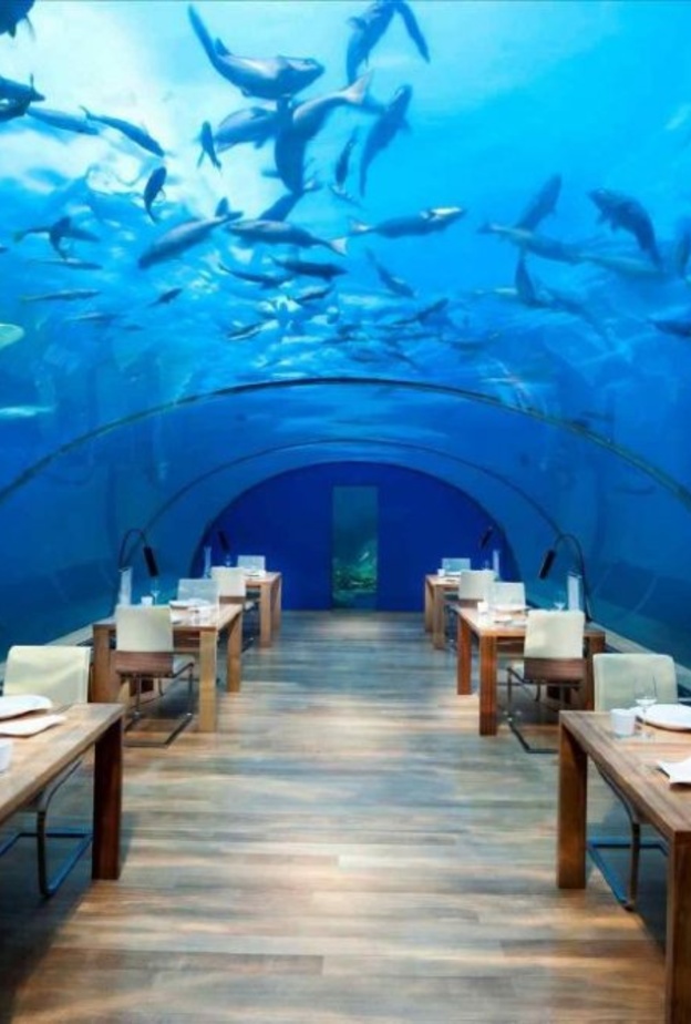 فندق مانتا تنزانيا - مطعم لتناول الطعام في عمق البحر