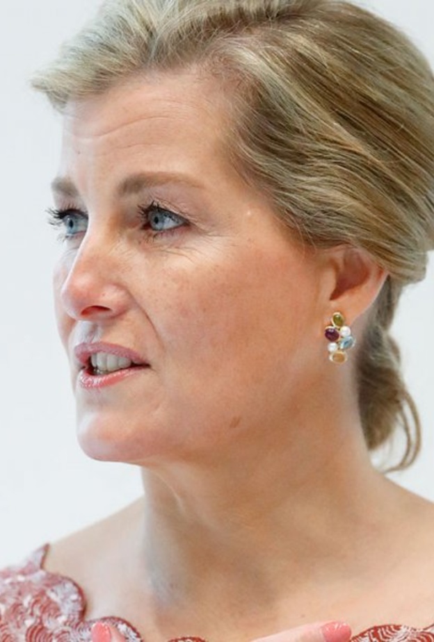 صوفي كونتيسة وسكس تدعم المؤسسات التي ترعاها برسائل متواصلة