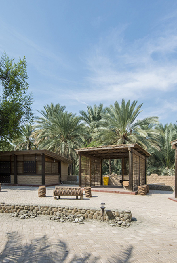 واحة العين... أول موقع إماراتي مدرج على قائمة اليونسكو للتراث العالمي