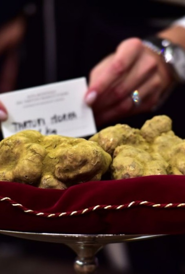 الفقع الثمرة الأغلى على الإطلاق