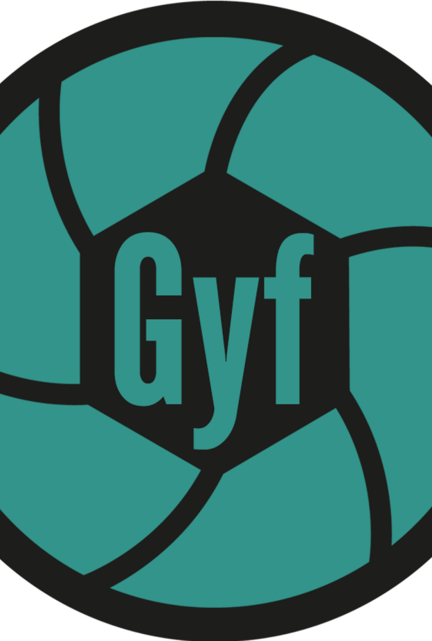 GYF لإنشاء صورة GIF بأقل من 10 ثوان