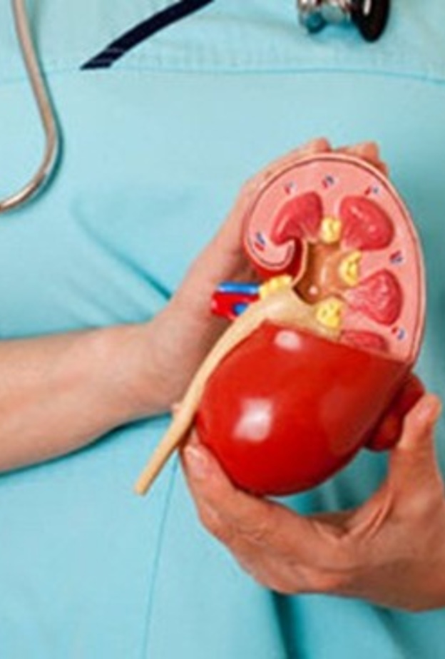 علاقة تغير المناج بمرض الكلى