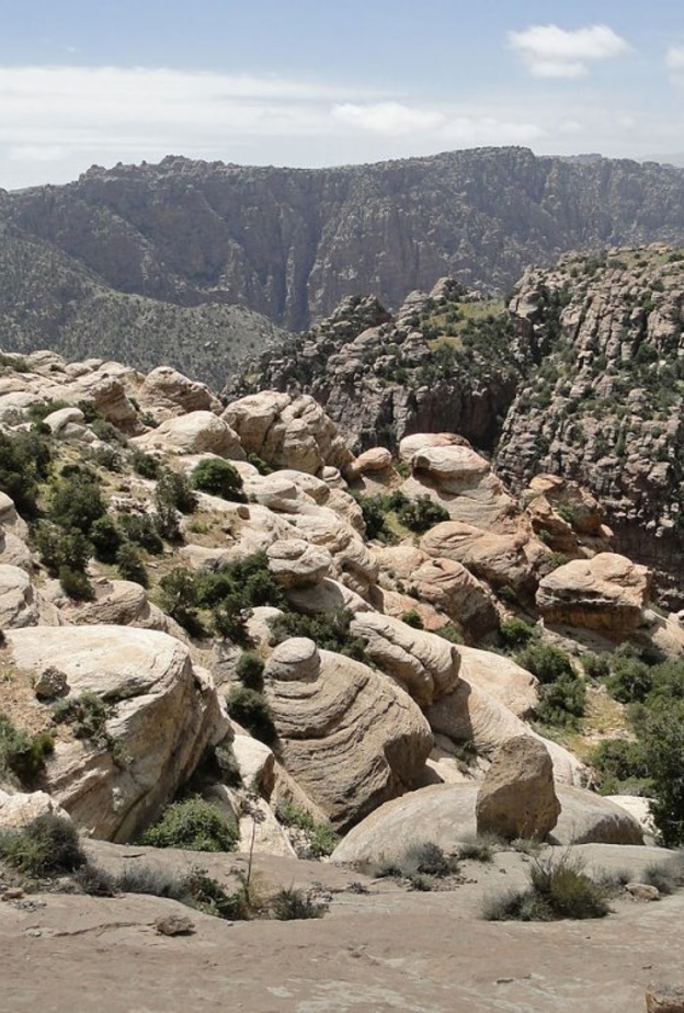 محمية ضانا الطبيعية تعد وجهة مثالية لمحبي الطبيعية وهواة الذهاب في رحلات استكشافية