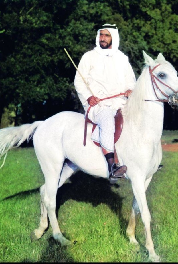 دمج منطقتي المقطع وبوابة أبوظبي تحت اسم منطقة ربدان