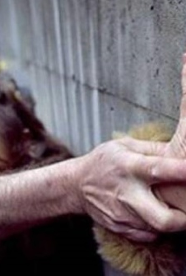 ذهبت للتوعية ضد الإغتصاب فتعرضت لنفس المصير