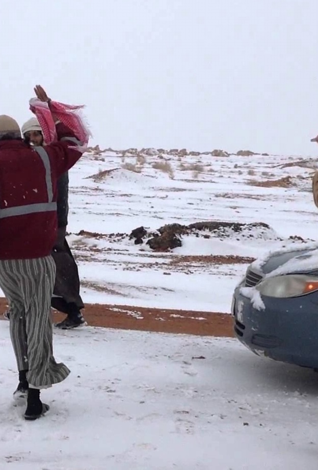 شمال المملكة وقد كساها الثلج