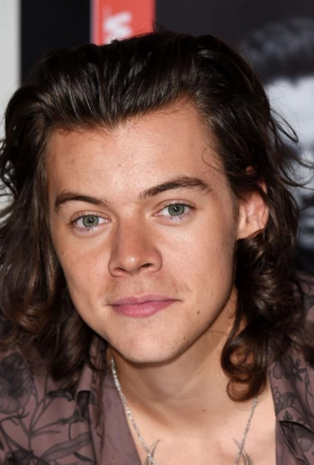 هاري ستايلز ملك تويتر للعام 2015