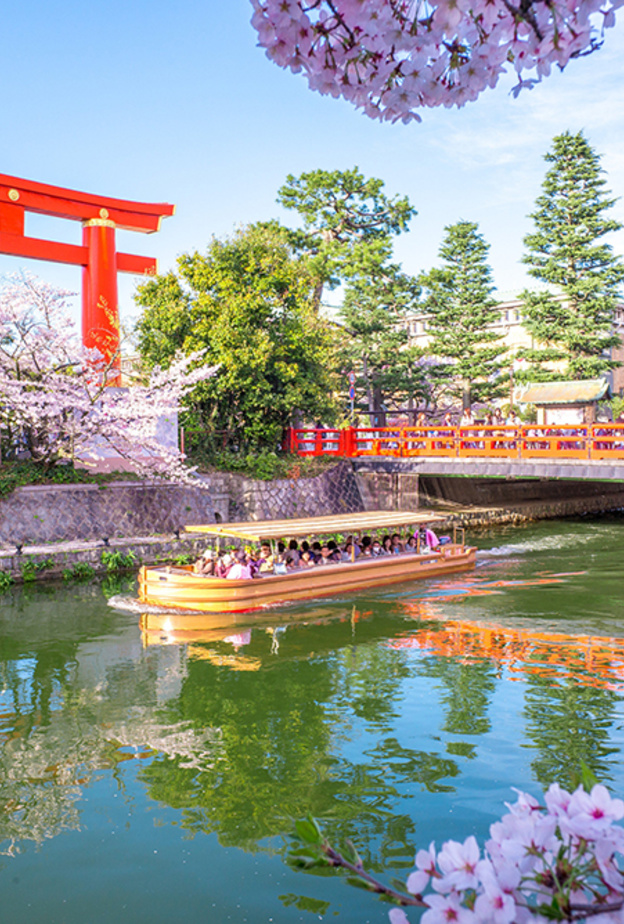 أفضل الوجهات لمشاهدة أزهار الكرز في ربيع 2019